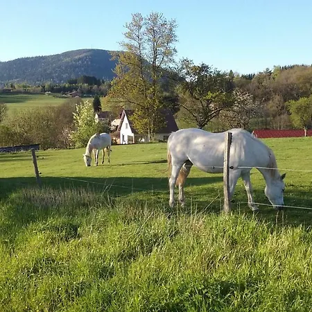 Du Gros Pommier Dom wakacyjny